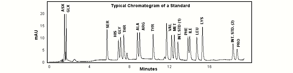 Typical Chromatogram of a Standard